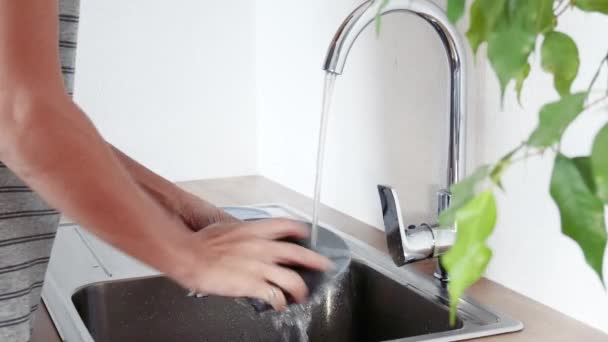 Placa de lavado mujer en fregadero de cocina — Vídeo de stock