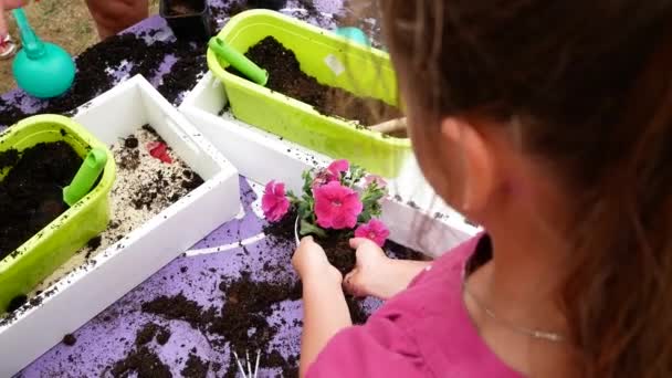 Gros plan de main enfant fille et mère plantation dans des pots de fleurs ensemble dans le jardin — Video