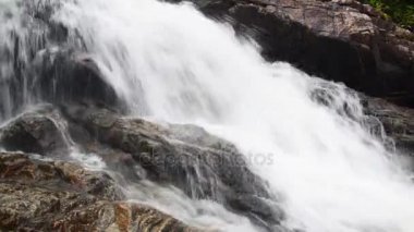 Dağ nehir şelale orman içinde. Güzel dağ orman manzarası. Huzur ve sessizlik bir doğa. HD