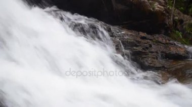 Dağ nehir şelale orman içinde. Güzel dağ orman manzarası. Huzur ve sessizlik bir doğa. HD