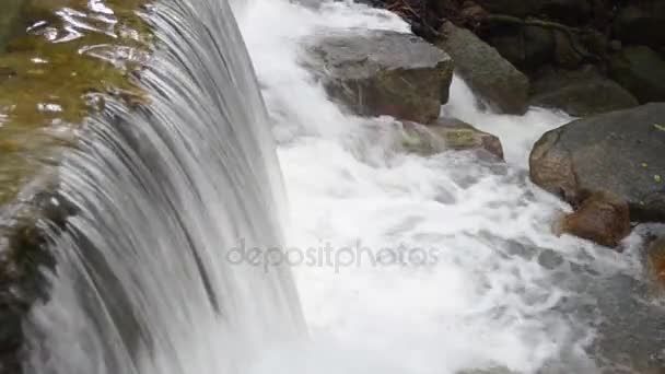 Mountain river waterfall in forest. Beautiful mountain forest landscape. Nature a peace and quiet. HD — Stock Video