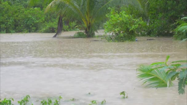 Calle inundada en Koh Phangan, Tailandia . — Vídeo de stock