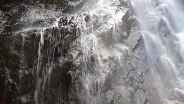 Гірський водоспад в лісі. Ліс гарними гірськими пейзажами. Природа на тишу і спокій. HD — стокове відео