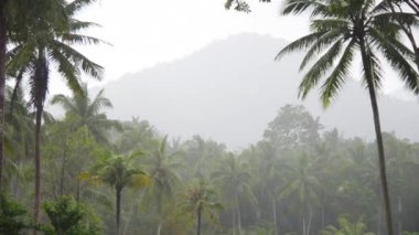 Düşük sezon yağmur tropikal adada