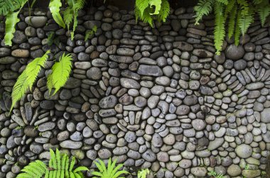 Arka plan eski duvar ve sarmaşık yaprakları