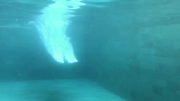 Lenteur de la motion. Vue sous-marine d'un nageur professionnel plongeant dans l'eau bleue — Video