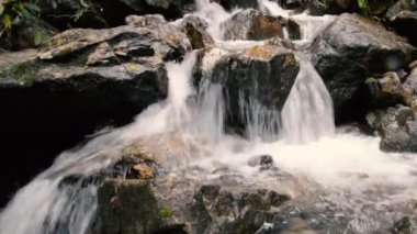 Dağ nehir şelale orman içinde. Güzel dağ orman manzarası. Huzur ve sessizlik bir doğa.