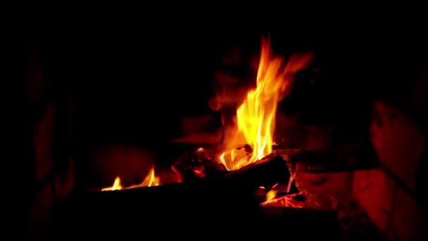 Flamme de feu fermer boucle - Stock Vidéo. 4k — Video