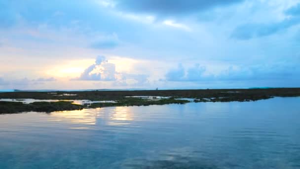 Oceano litoral pedregoso no pôr-do-sol pitoresco — Vídeo de Stock