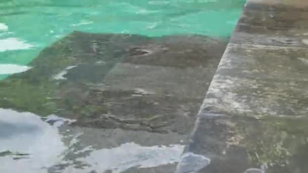 游泳池配有明亮的水 — 图库视频影像