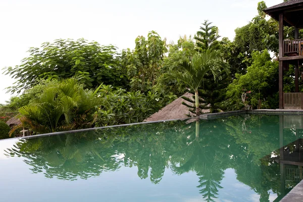 Villa Infinity Pool. A Balinese infinity pool in the village.