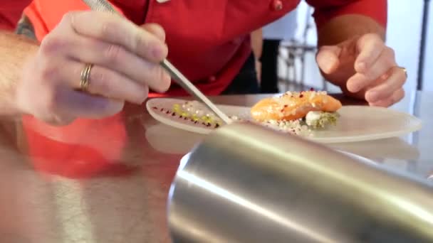 Salmão defumado e molho cozido pela técnica de gastronomia molecular — Vídeo de Stock