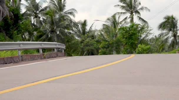 Fitness kvinna kör på tropisk skog spår — Stockvideo