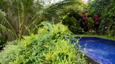 Yüzme Havuzu manzaralı huzurlu ve rahatlatıcı zaman.