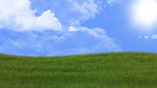 Halaman hijau dengan langit biru — Stok Foto
