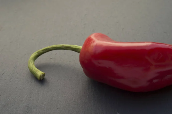 Enkelröd paprika — Stockfoto