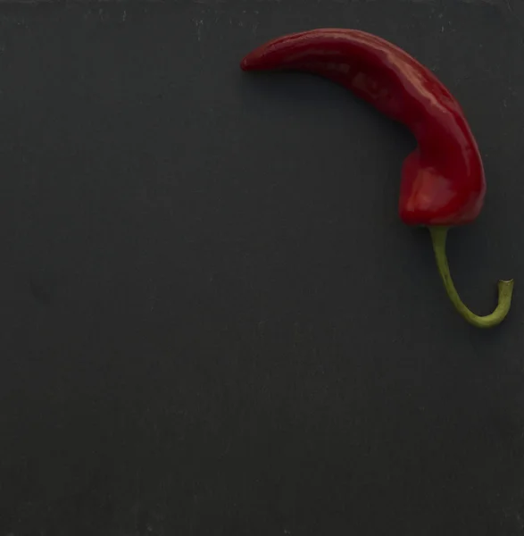 Μονόχρωμο κόκκινο bell — Φωτογραφία Αρχείου