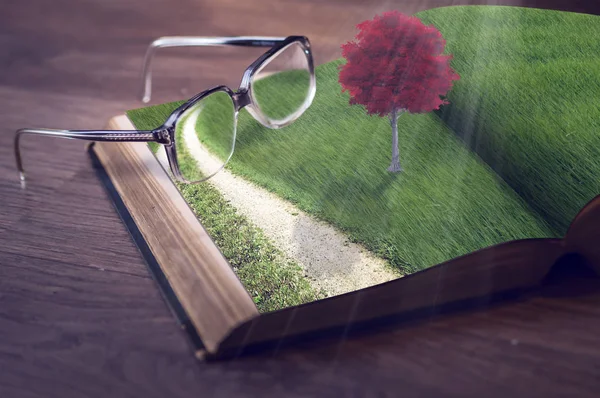 Book with red tree and eyeglasses — Stock Photo, Image