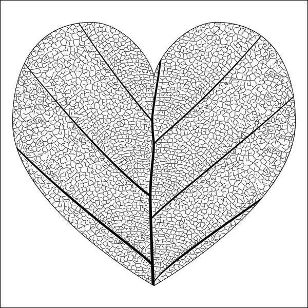 Botanical series Elegant detailed Single leaf closeup texture structure in sketch style black and white on white background in the love heart shape — Stock Vector