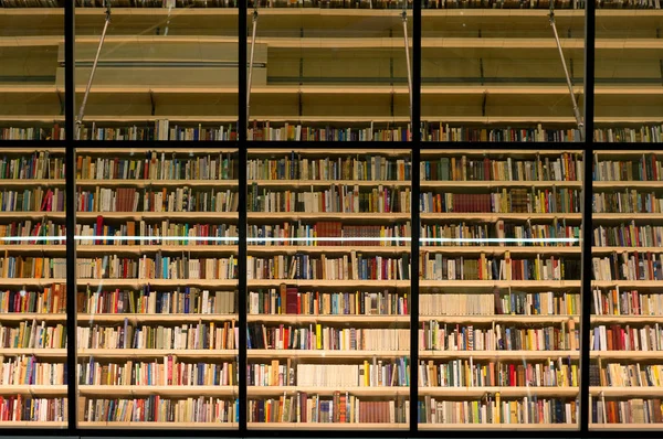 Biblioteca estante cheia de livros Imagem De Stock