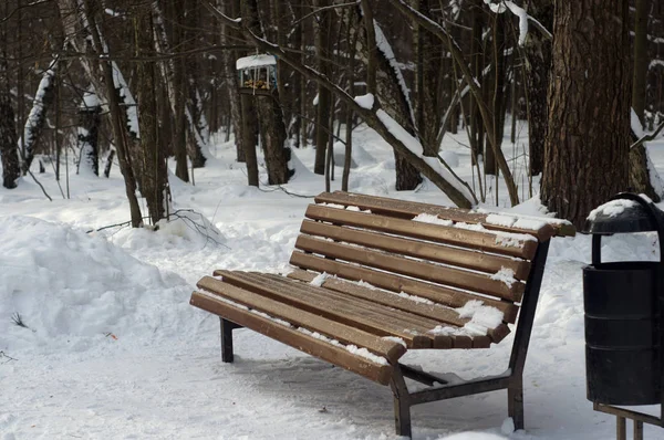 Скамейка в зимнем парке — стоковое фото