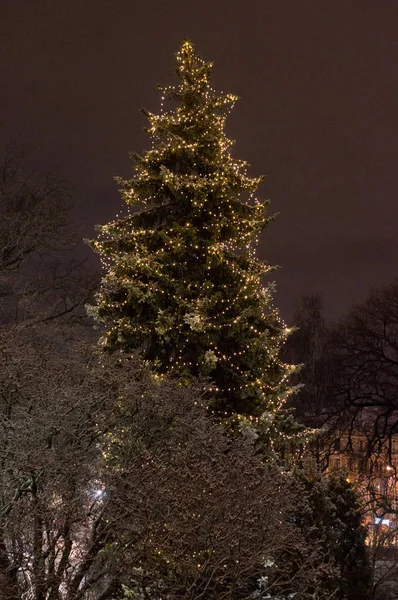 Süslenen Noel ağacı sokakta geceleri