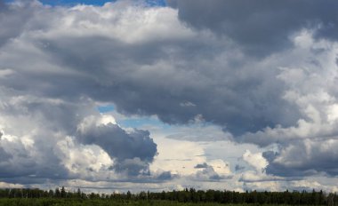Ormanın üzerinde dramatik bulutlar
