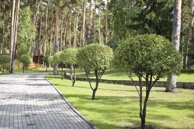 Çam ağaçlarının ve söğütlerin arasındaki parkta kaldırım döşemeleri, bir pansiyona götürür..