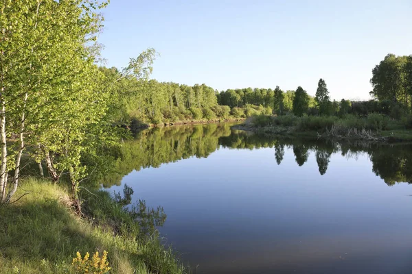 Sommerlandschaft Ein Ruhiger Flacher Fluss Zwischen Feldern Und Birkenhainen Unter — Stockfoto