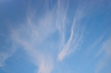 Gün batımında mavi gökyüzünde beyaz sirrus bulutları. Tasarım için doğal arkaplan.