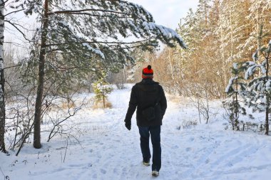 Bir adam karlı bir patika boyunca kış ormanında yürür. Sağlıklı yaşam tarzı ve açık hava aktiviteleri kavramı.