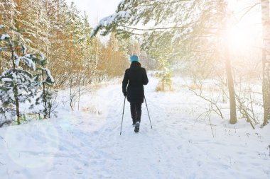 Genç bir kadın, karlı bir patika boyunca yürüyüş direkleriyle bir kış ormanında yürüyor. Kuzeyli yürüyüşü. Sağlıklı yaşam tarzı ve açık hava aktiviteleri kavramı.