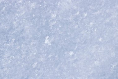 Taze yağmış karın dokusu. Tasarım için Noel şablonu. Açıkça görülüyor ki tek tek kar taneleri. Kış arkaplanı.