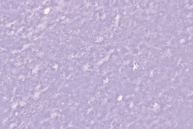 Taze yağmış karın dokusu. Tasarım için Noel şablonu. Açıkça görülüyor ki tek tek kar taneleri. Kış arkaplanı.