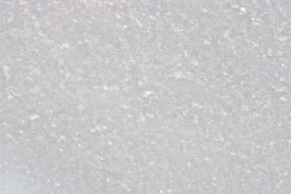 新下的雪的质感 圣诞节设计模板 明显可见的个别雪花 冬季背景 — 图库照片