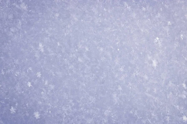 刚下起的雪的质感 圣诞节设计模板 明显可见的个别雪花 冬季背景 — 图库照片