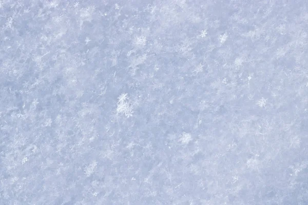 刚下起的雪的质感 圣诞节设计模板 明显可见的个别雪花 冬季背景 — 图库照片