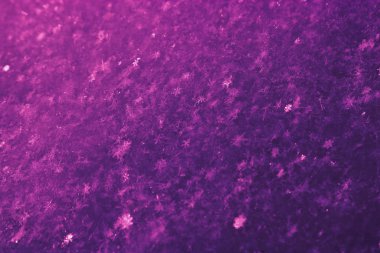 Taze yağmış karın mor dokusu. Tasarım için Noel şablonu. Açıkça görülüyor ki tek tek kar taneleri. Kış arkaplanı.