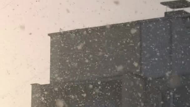 Nagy hópelyhek kavarognak a levegőben. A hóesés egy időjárási jelenség. Téli reggel. — Stock videók