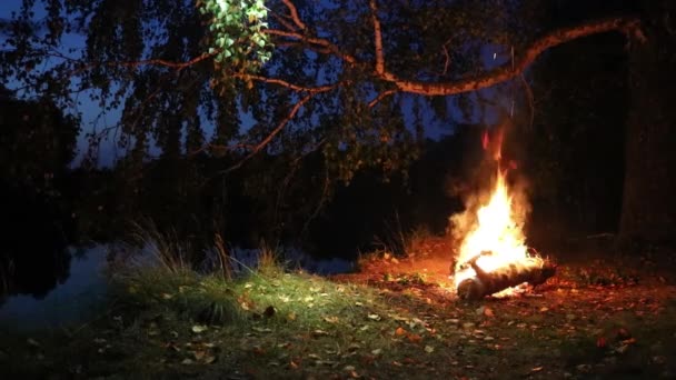 Bonfire bij de rivier in het bos 's nachts. Romantische avond. — Stockvideo