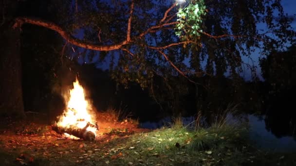Fogueira à beira do rio na floresta à noite. Noite romântica . — Vídeo de Stock