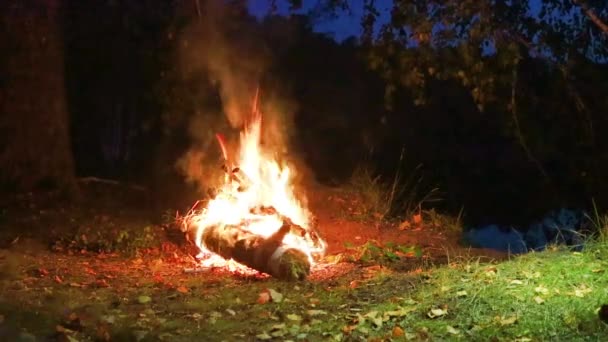 Bonfire bij de rivier in het bos 's nachts. Romantische avond. — Stockvideo