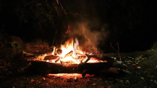 Bonfire by the river in the forest at night. Romantic evening. — Stock Video