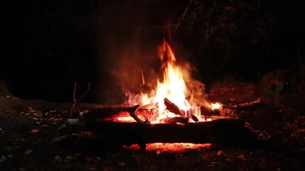 Ognisko nad rzeką w lesie w nocy. Romantyczny wieczór. — Wideo stockowe