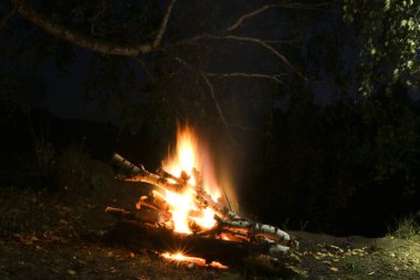 Geceleri ormanda, nehrin kenarında şenlik ateşi. Romantik bir akşam.