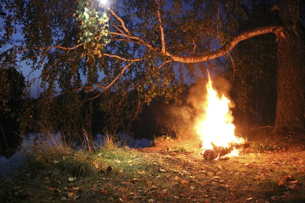 Φωτιά Στο Ποτάμι Στο Δάσος Νύχτα Ρομαντικό Βράδυ — Φωτογραφία Αρχείου