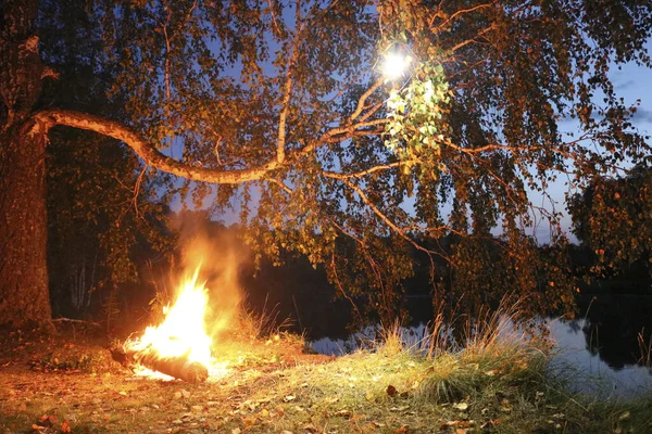 Φωτιά Στο Ποτάμι Στο Δάσος Νύχτα Ρομαντικό Βράδυ — Φωτογραφία Αρχείου