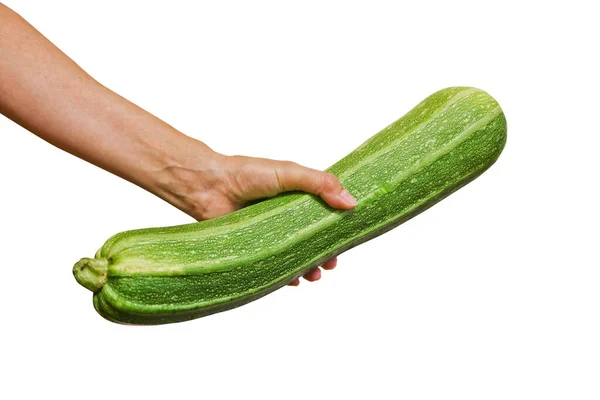 Verse Groene Courgette Een Vrouwelijke Hand Gezond Veganistisch Voedsel Geïsoleerd — Stockfoto