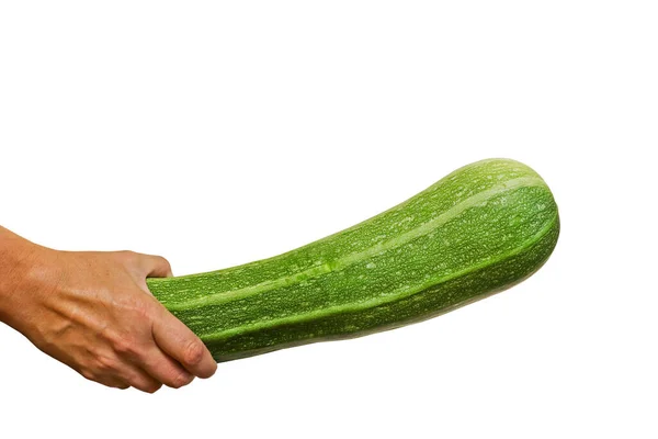 Färsk Grön Zucchini Kvinnlig Hand Hälsosam Vegansk Mat Isolerad Närbild — Stockfoto