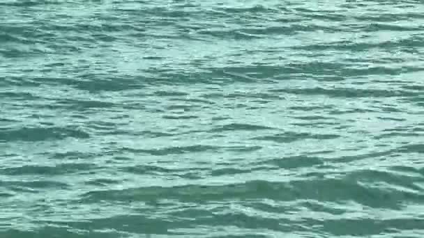 Ondas textura de agua. Fondo marino natural azul . — Vídeo de stock